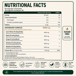 Youthful Roots High Strength Multi-Mushroom Gummies