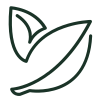 Premium Mullein Leaf