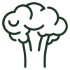 Broccoli Sprout Extract